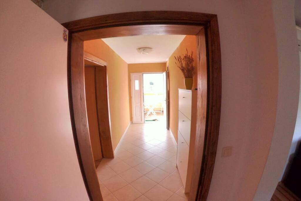 Comfortable Apartment Near Pula Marčana 外观 照片