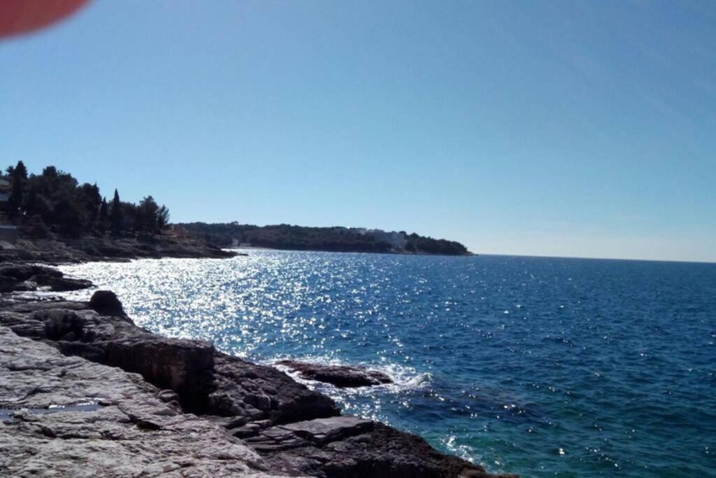 Comfortable Apartment Near Pula Marčana 外观 照片