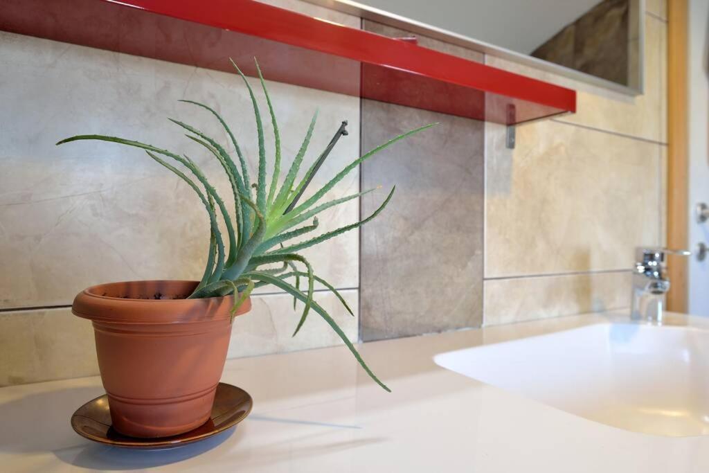 Comfortable Apartment Near Pula Marčana 外观 照片